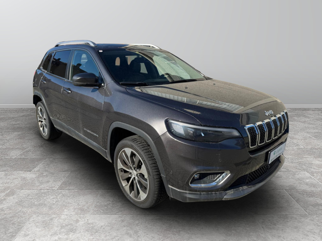 JEEP Cherokee Cherokee 2.2 mjt Limited 4wd active drive I auto